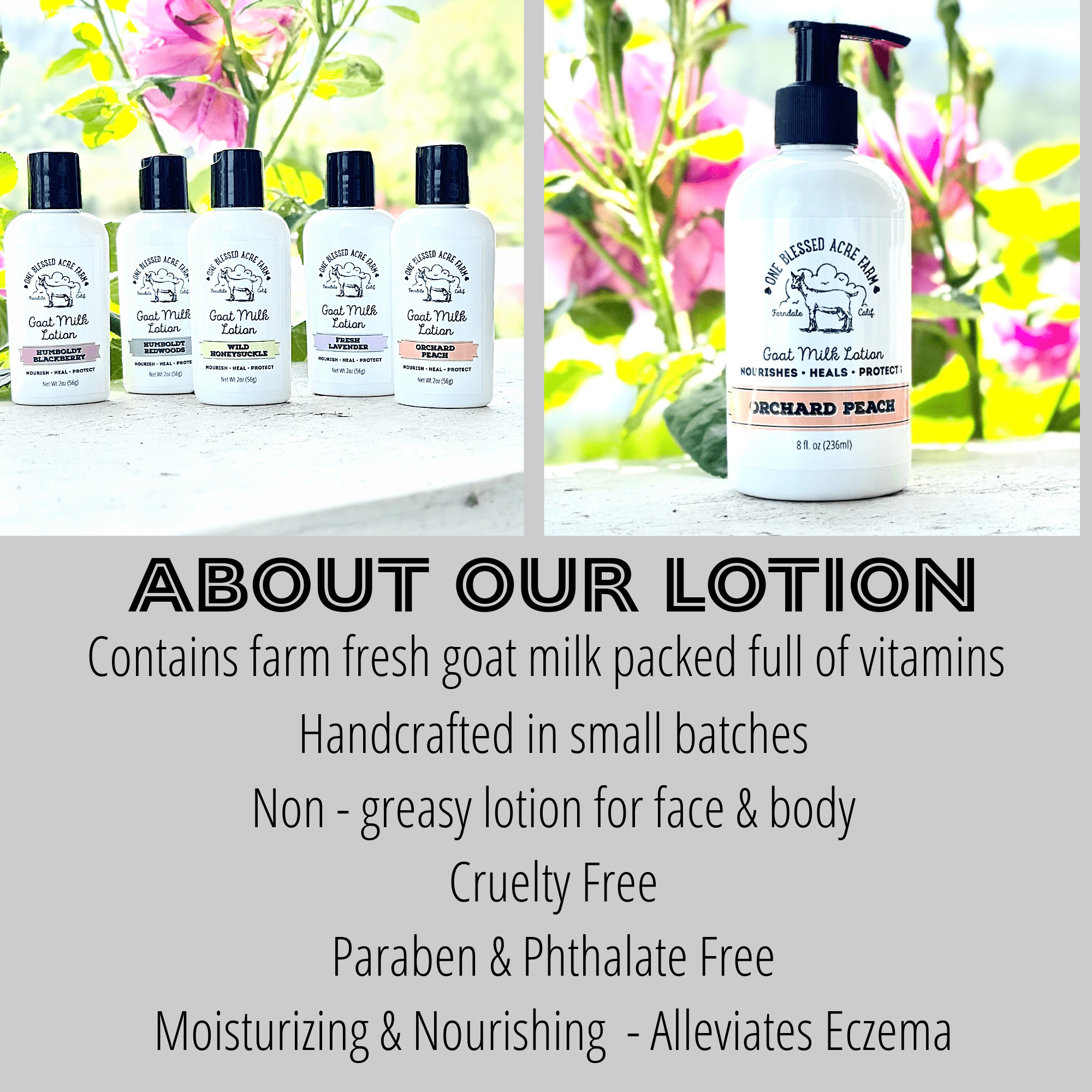 Collection of Richard Peace lotion bottles with product details on a neutral background