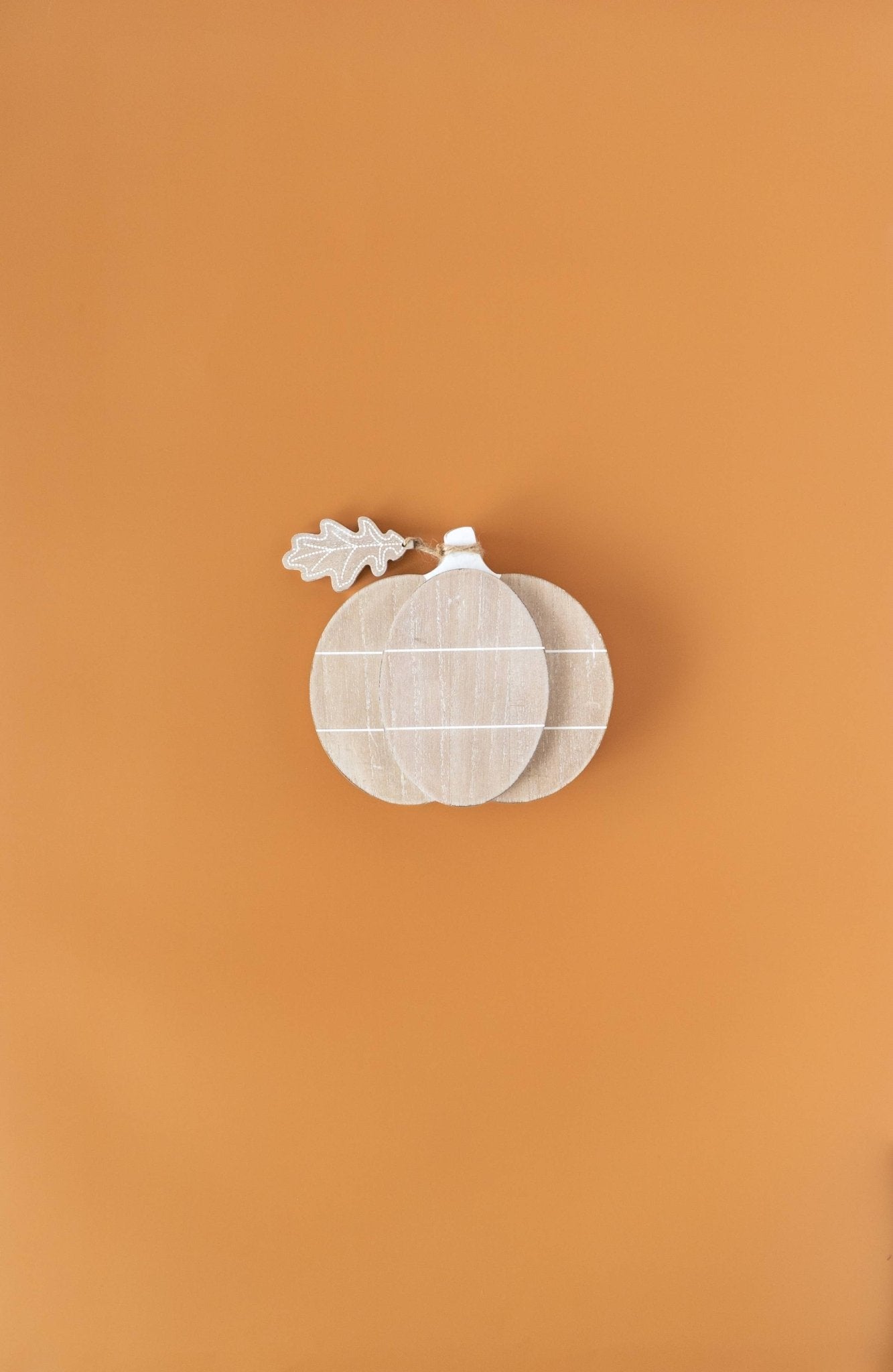 White pumpkin with a leaf on an orange background