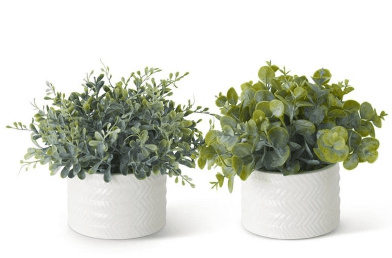 Assorted Eucalyptus White Ribbed Vase | Sudha's Emporium