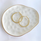 Goldie 14k Gold Filled Hoop Earrings by True by Kristy – Hypoallergenic