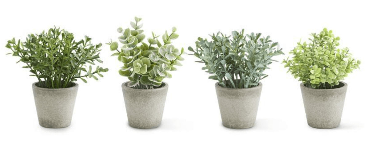 Mini Herb Plants in Grey Pots - Modern Kitchen & Home Herb Decor