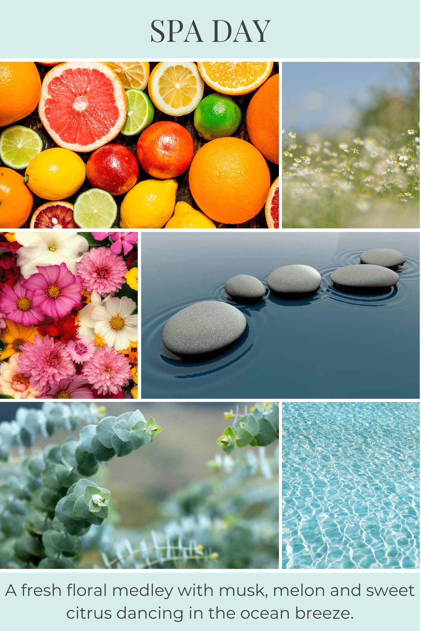 Collage of spa-themed elements including fruits, flowers, water, and stones with a spa day theme.