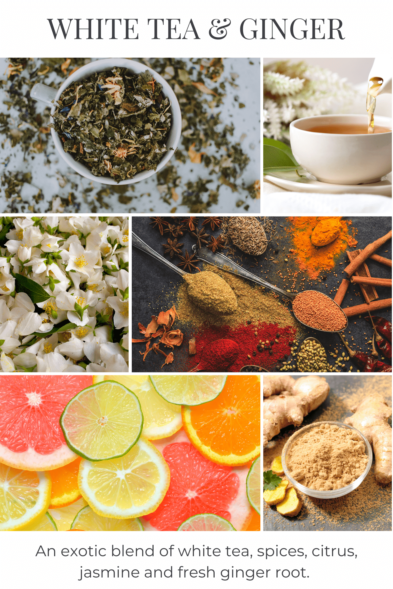 Collage of white tea, ginger, spices, and citrus fruits with text 'White Tea & Ginger'.