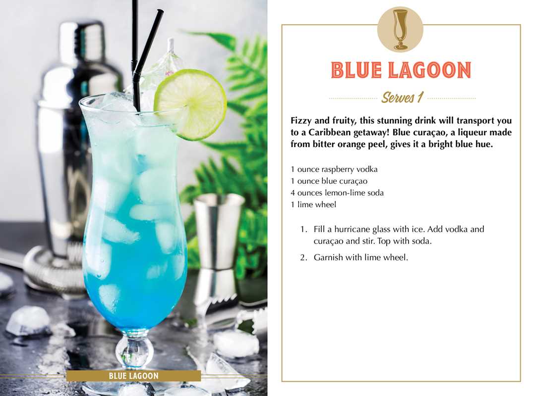 Summer Sips by Adams Media | Sudha's Emporium