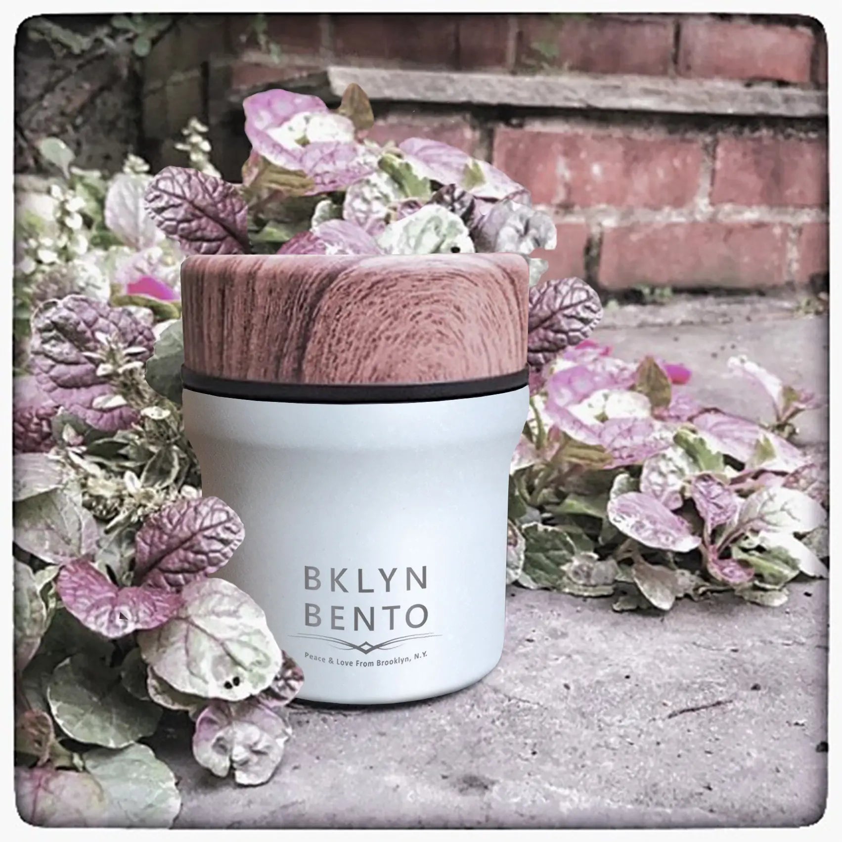 Small Food Jar (10 OZ Insulated Thermos) | Sudha's Emporium