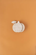White pumpkin with a leaf on an orange background