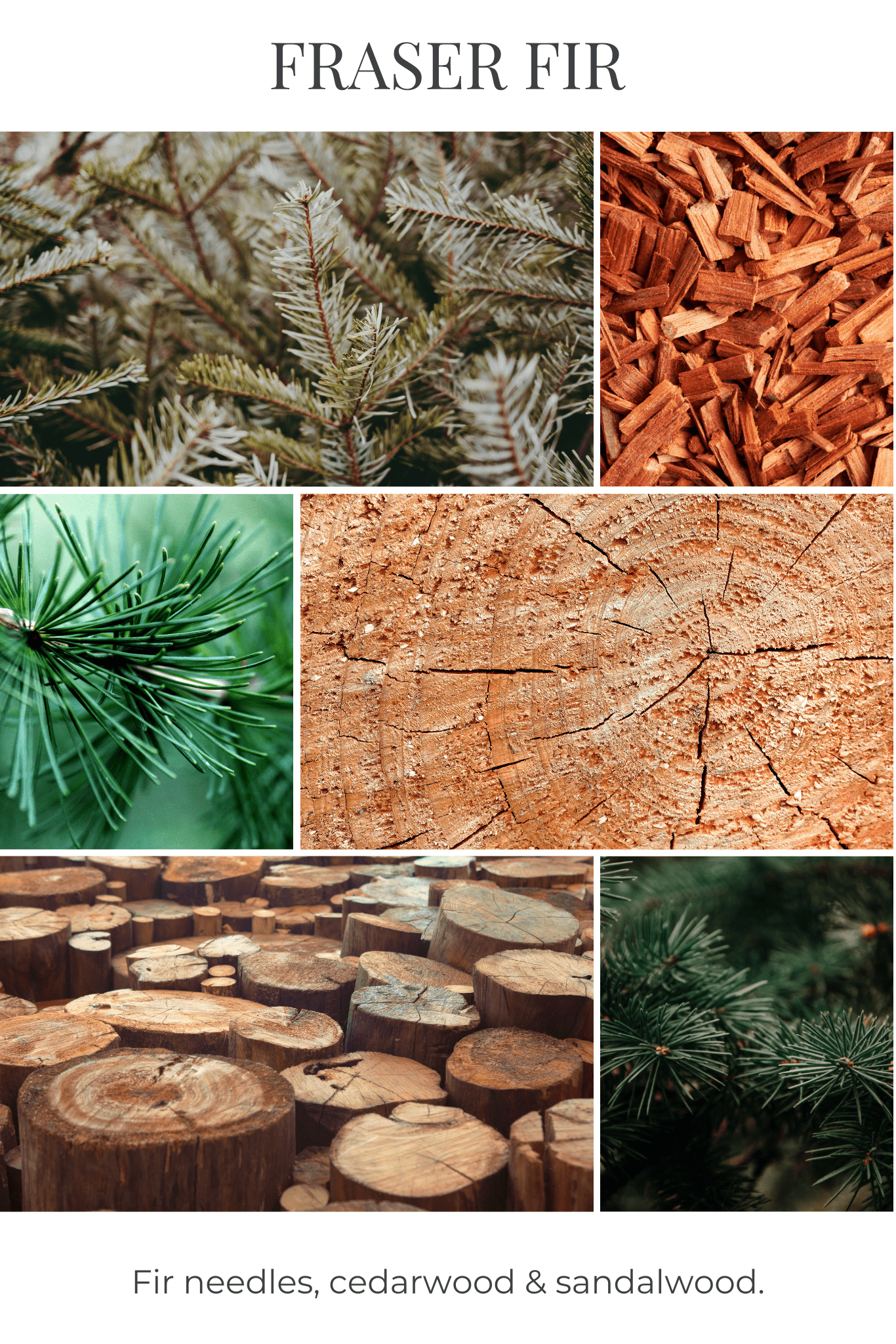Collage of Fraser Fir needles, cedarwood, sandalwood, and tree stumps with text 'Fraser Fir'.