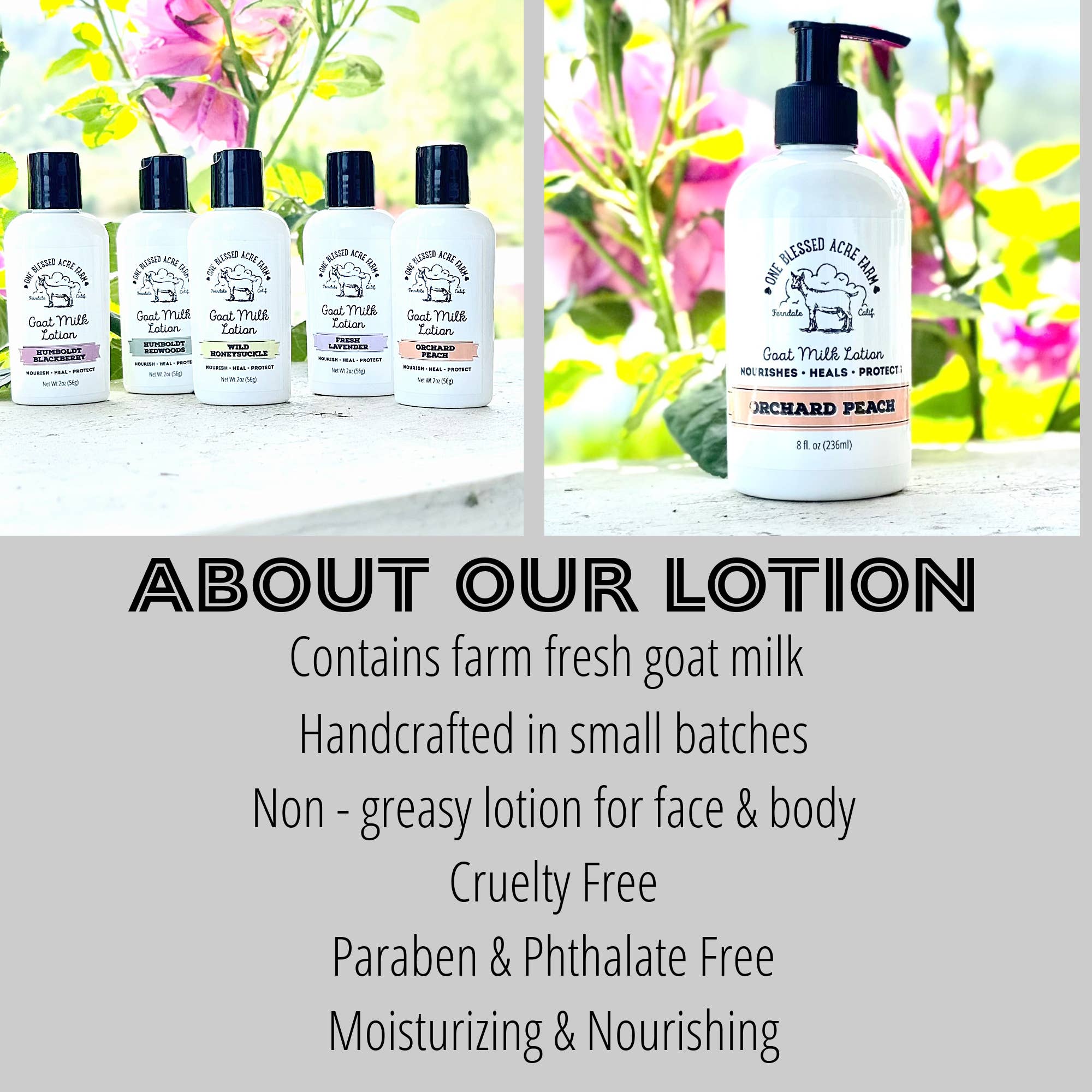 Goat milk lotion bottles with product details on a natural background
