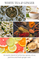 Collage of white tea, ginger, spices, and citrus fruits with text 'White Tea & Ginger'.