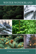 Collage of winter-themed images with pine, spruce, and fir trees, snow, and Christmas lights.