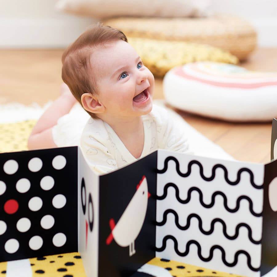 High Contrast Baby Pack | Sudha’s Emporium Gourmet, Gifts & Décor | Corning, NY