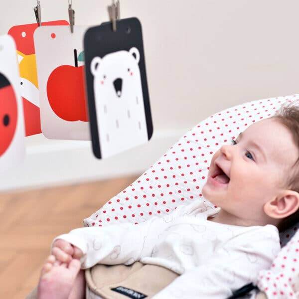 High Contrast Baby Pack | Sudha’s Emporium Gourmet, Gifts & Décor | Corning, NY